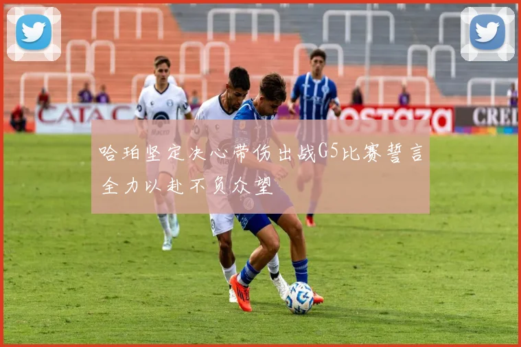 哈珀坚定决心带伤出战G5比赛誓言全力以赴不负众望